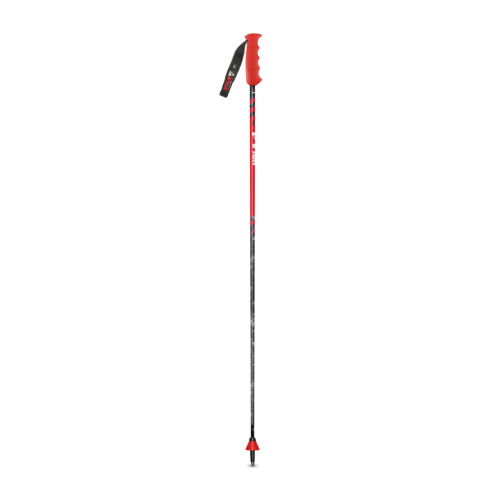 Gigante di carbonio
