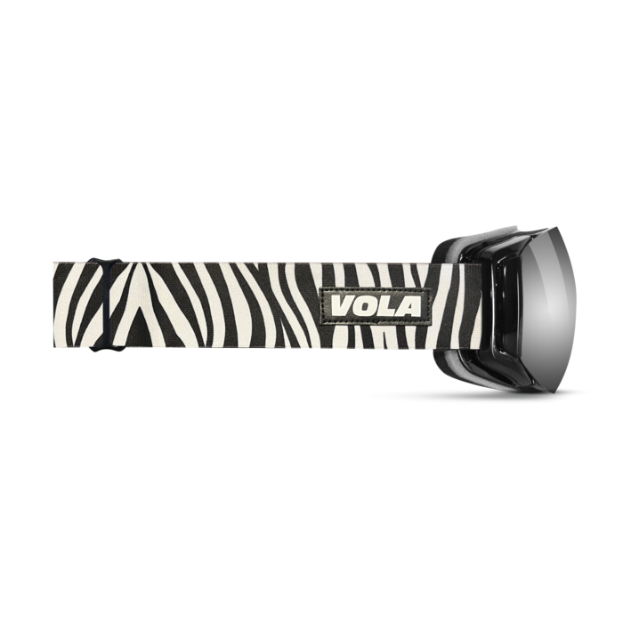 Zippy Zebra