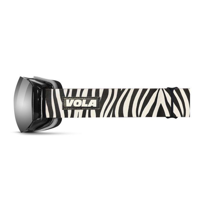 Zippy Zebra